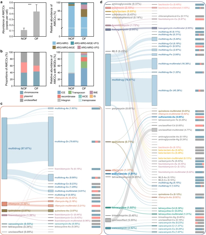 1729144927962.jpg 1729144927962.jpg